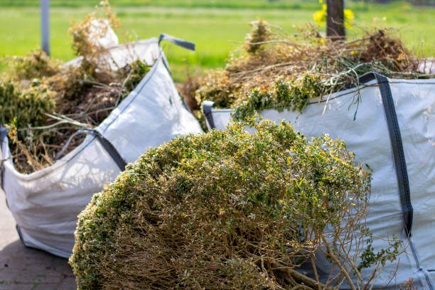 Best Mattress Removal Service  in Prophetstown, IL
